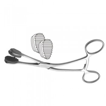 Young Tongue Holding Forceps Stainless Steel, 15 cm - 6"